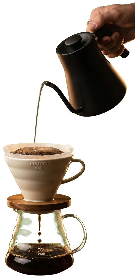 Proses seduh manual V60 pour-over
